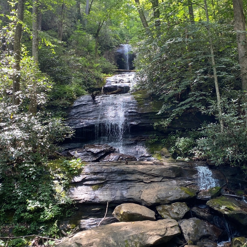 Meet your Posher, Suzanne